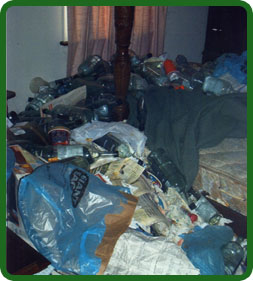Hoarding clean-up