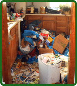 Hoarding clean-up